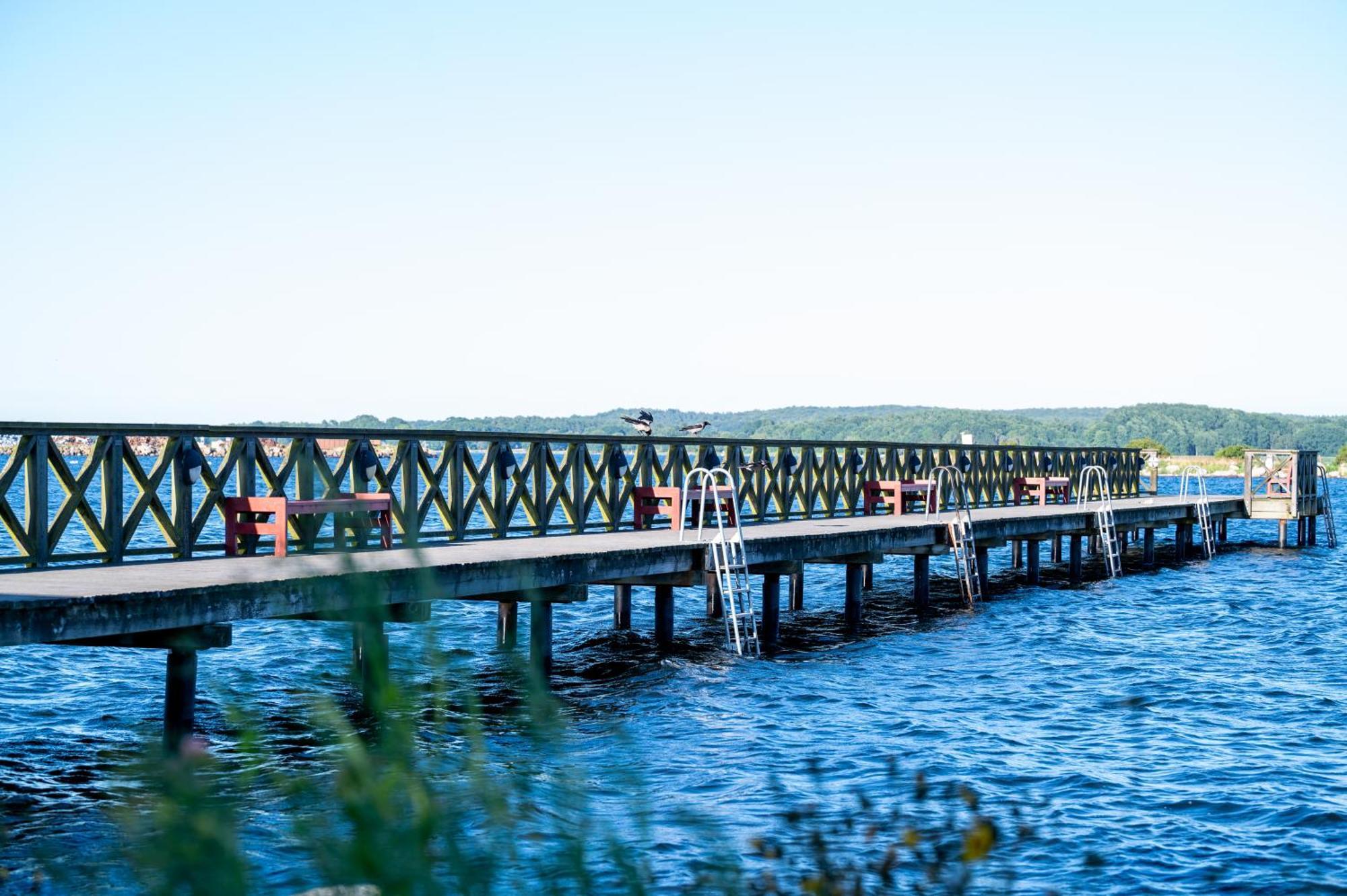 My Camping Tredenborg Sölvesborg Exteriör bild